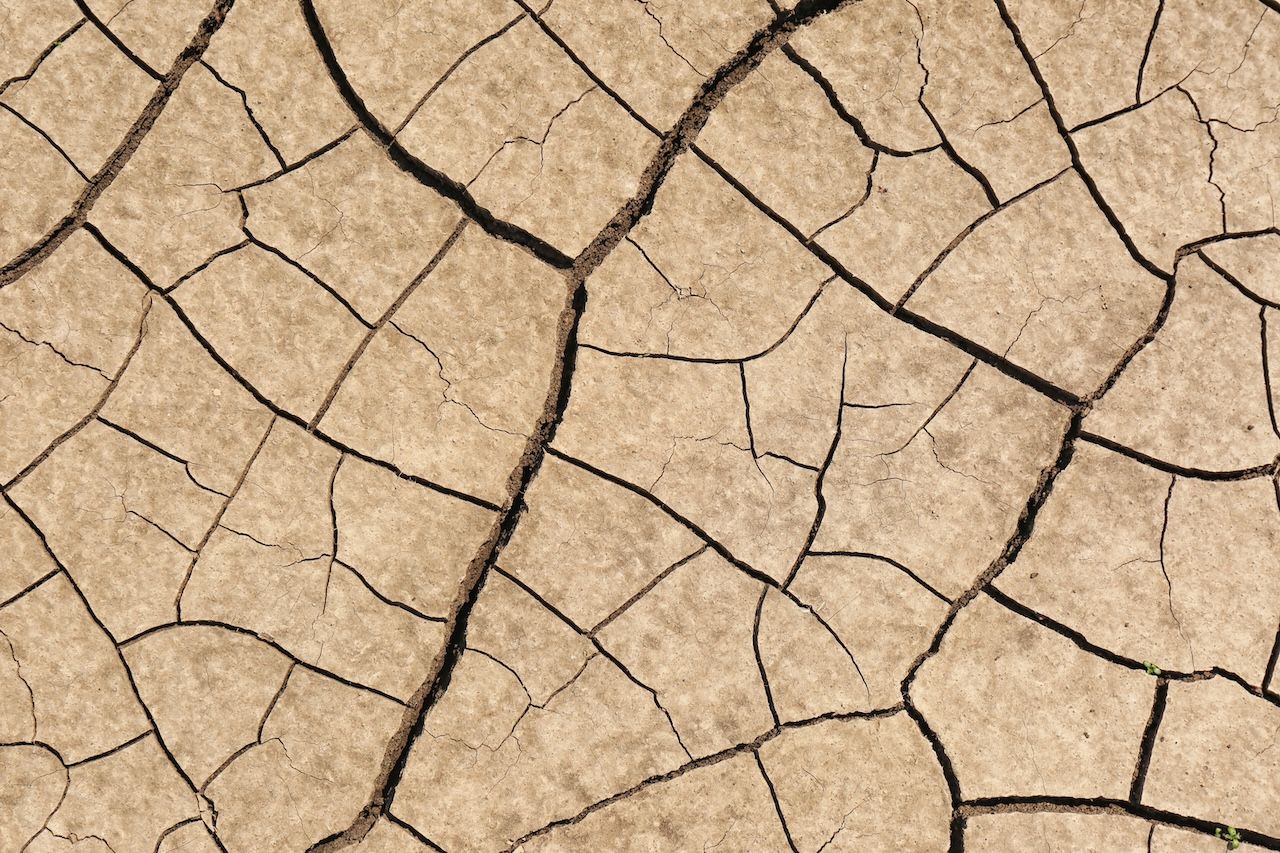 infographic for IS YOUR CLIENT'S SKIN DRY OR JUST DEHYDRATED?